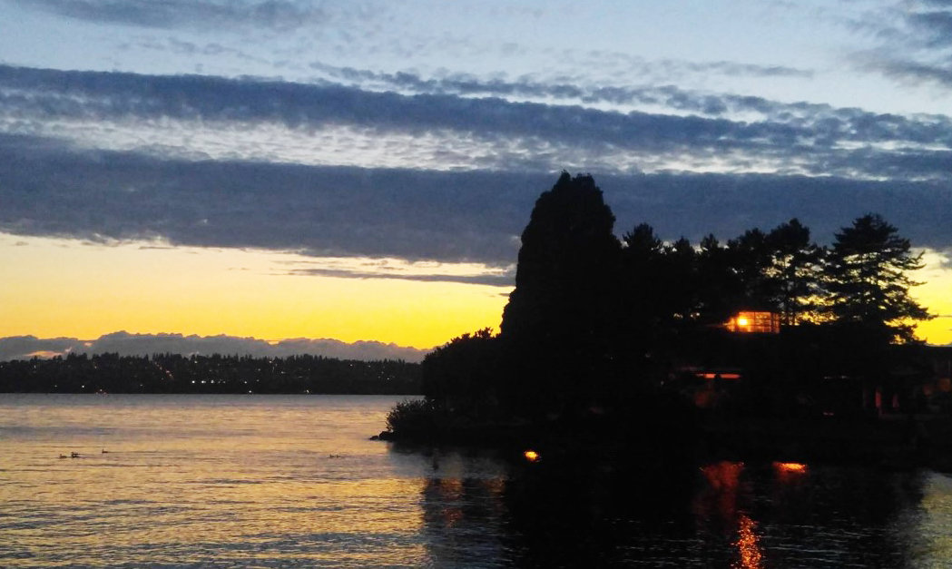 The view from the Kirkland marina.